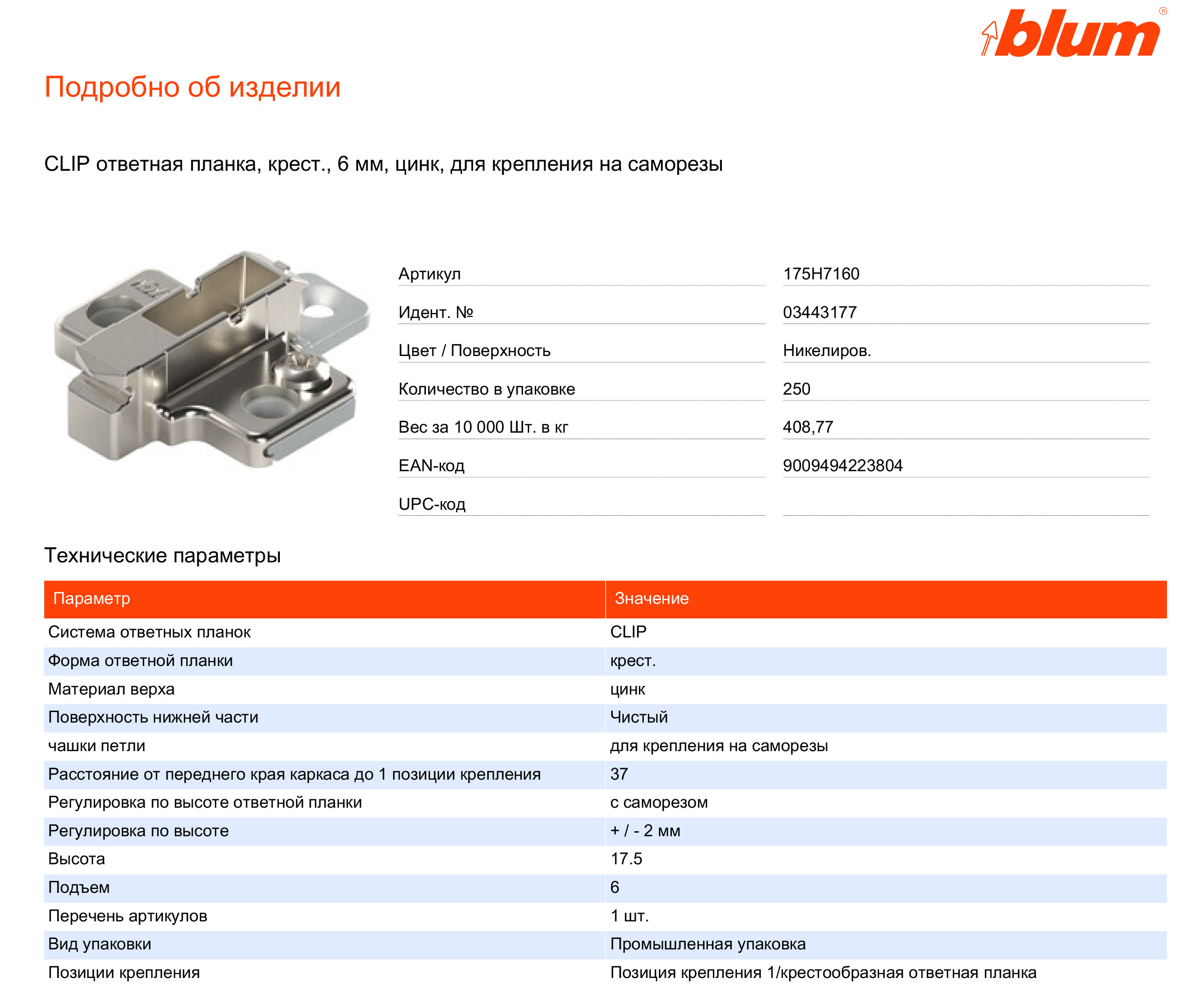 Blum_03443177.jpg
